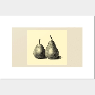The Two Pears Posters and Art